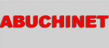 Abuchinet Technology Consulting